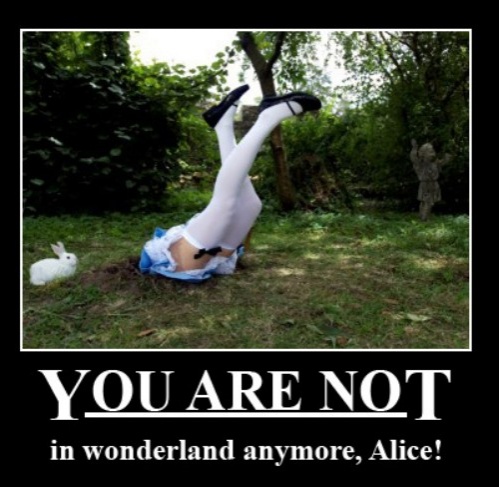 Alice cannot enter Wonderland