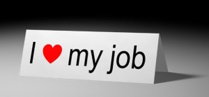 i love my job